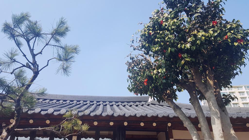 Misori Guesthouse Gwangju Metropolitan City Εξωτερικό φωτογραφία