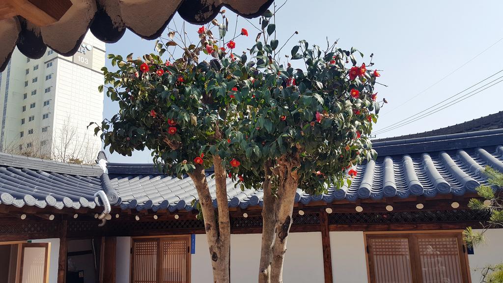 Misori Guesthouse Gwangju Metropolitan City Εξωτερικό φωτογραφία