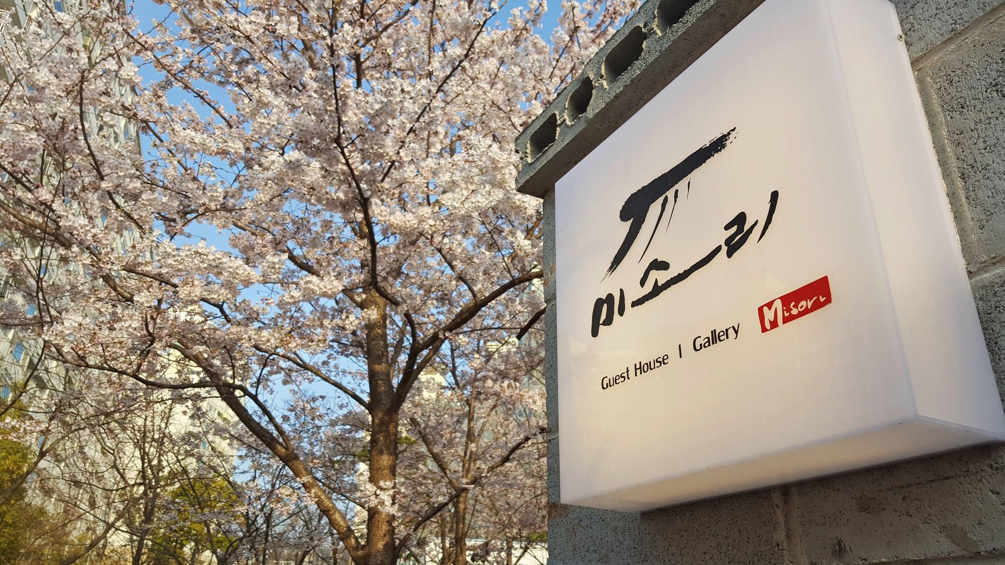 Misori Guesthouse Gwangju Metropolitan City Εξωτερικό φωτογραφία