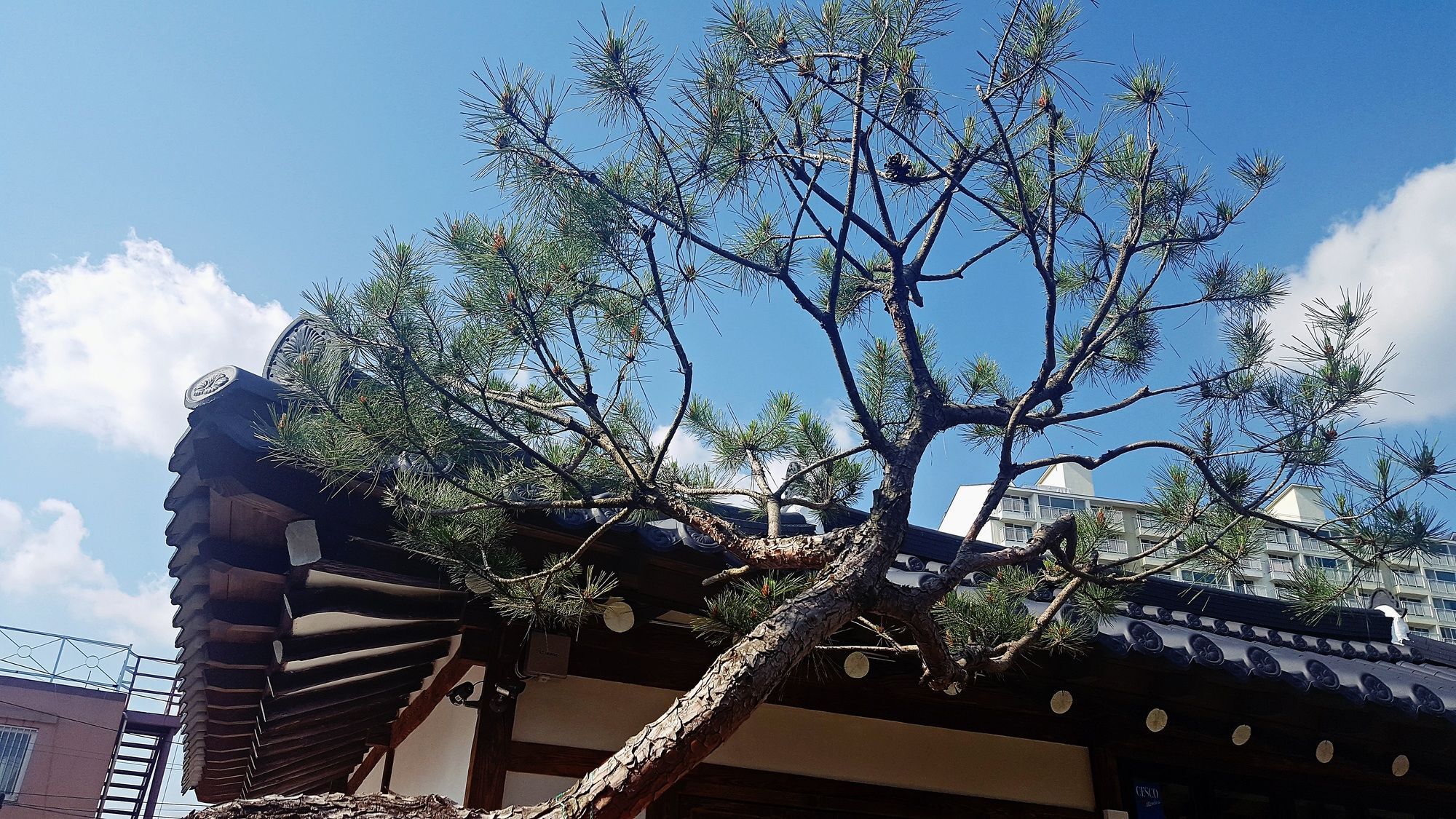 Misori Guesthouse Gwangju Metropolitan City Εξωτερικό φωτογραφία